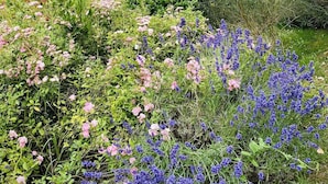 A lush garden with a variety of flowers and a view of rolling hills in the background. - Beautiful house near San Gimignano in Tuscany with views, pool,garden, A/C, WiFi (Gambassi Terme, FI)