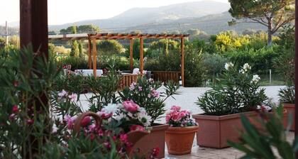 Luxuriöse Country Villa mit beheiztem Pool & professioneller Küche nähe Perugia