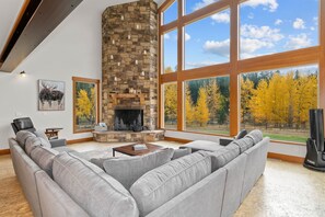 Smart TV, fireplace, DVD player, books