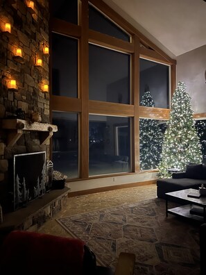 Smart TV, fireplace, DVD player, video library