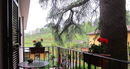 Podere la Piana-Cedro