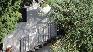 A staircase leading up to a building with a white wall and a metal railing. There are potted plants at the base of the stairs. - Podere la Piana-Cedro (fivizzano)