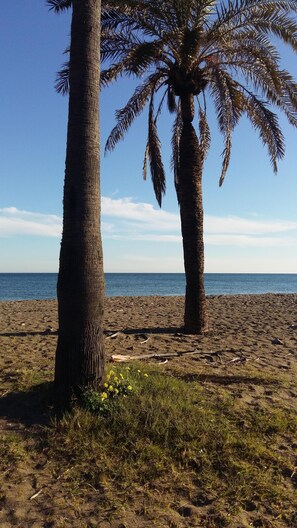 Plage à proximité