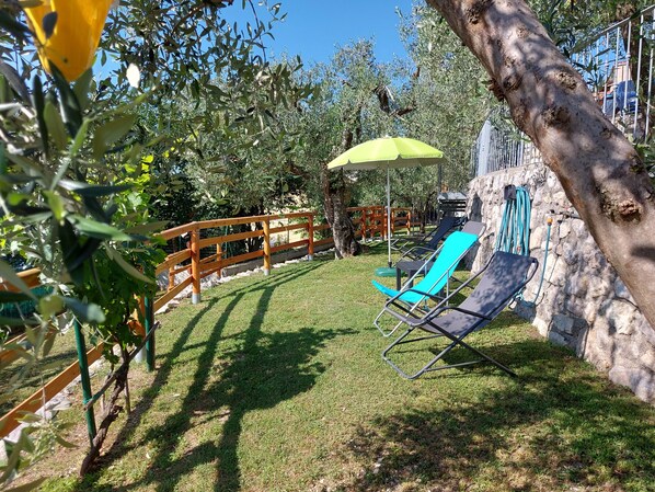 Parco della struttura