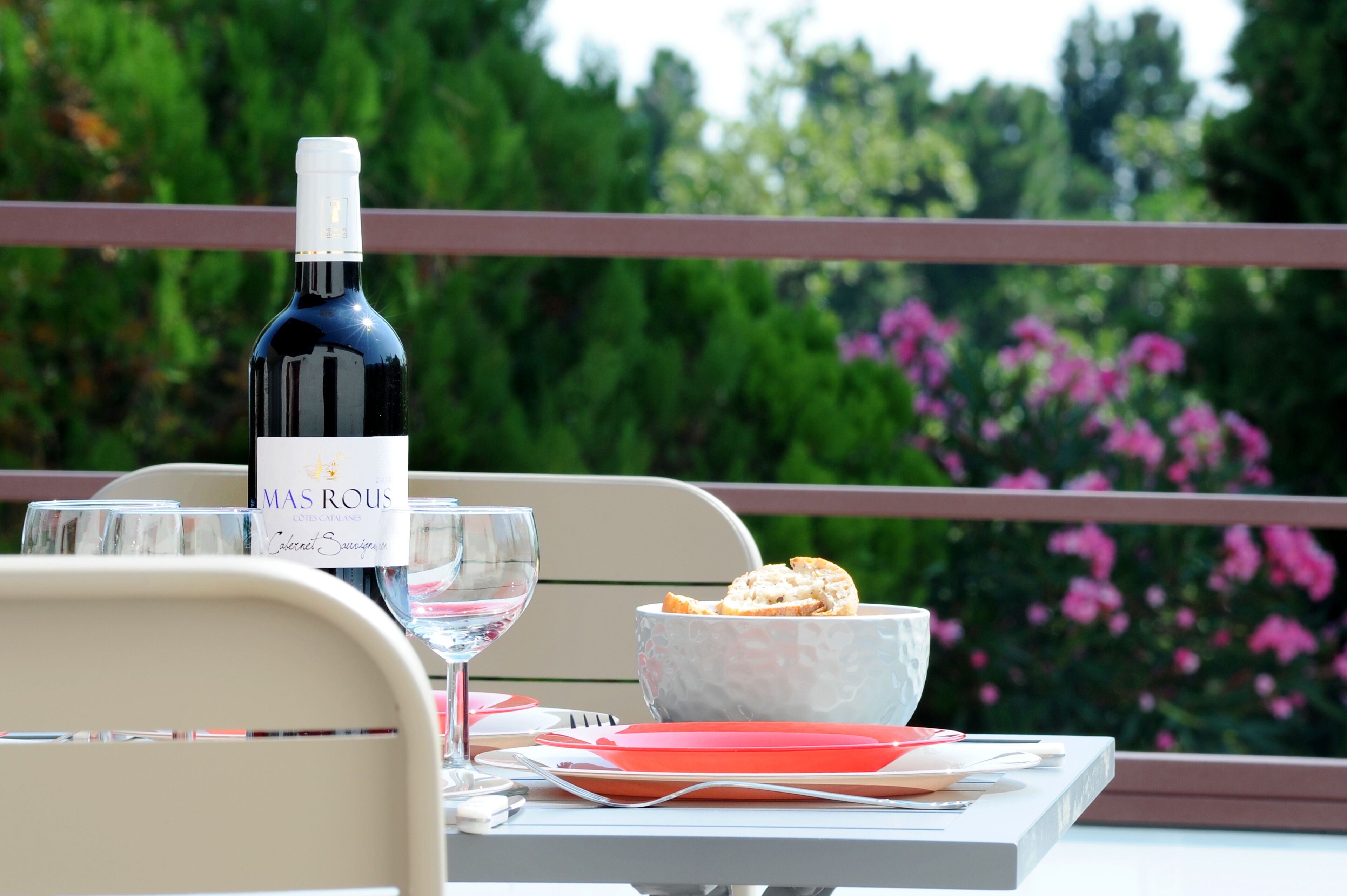 Gîte in the heart of vineyards