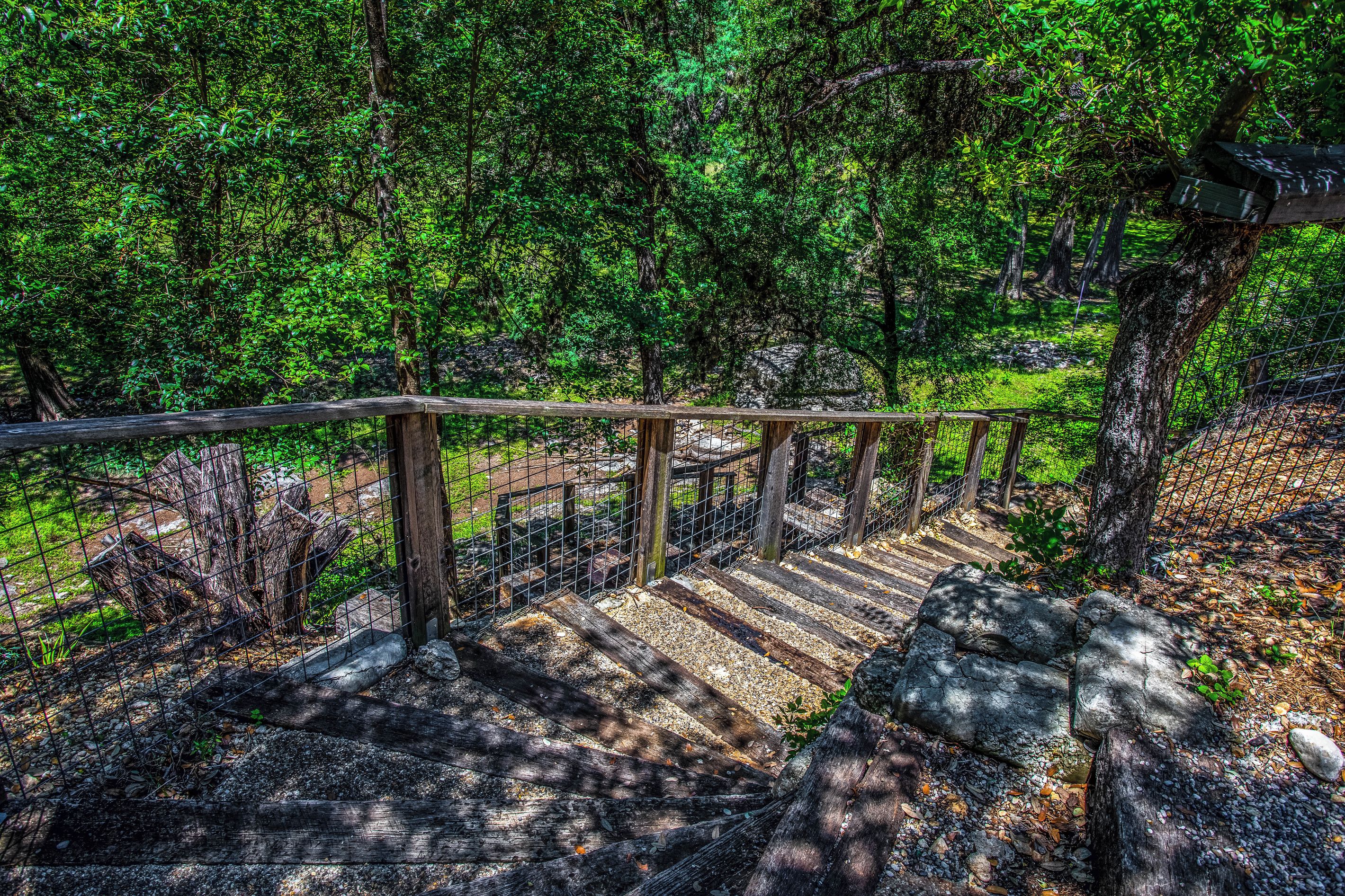 A wooden staircase with a metal railing leading through a forested area.