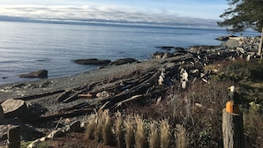 A rocky shoreline with driftwood and a tree stump.