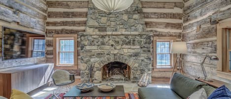 TV, fireplace, video games, DVD player