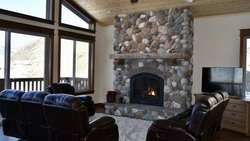 TV connectée, cheminée, lecteur de DVD, livres