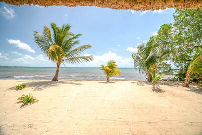 Amazing Beachfront Villa with Pool in the heart of Maya Beach!