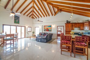 Älytelevisio, kirjoja