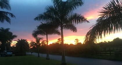 Hidden Paradise In Palm City #1