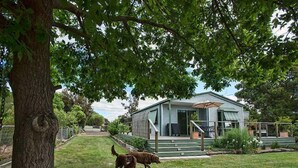 Een huis met een veranda, een boom op de voorgrond en twee honden in de tuin.