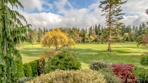 Golfkenttä, jossa on monenlaisia puita ja pensaita.