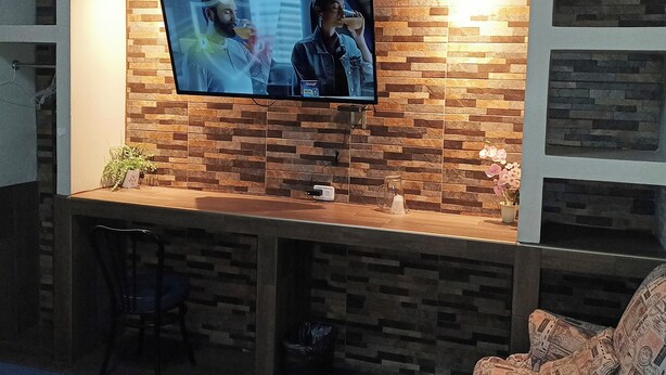 A modern bar area with a flat-screen TV mounted on a brick-patterned wall, a small plant, and a trash bin. - Hotel Baeza (Delicias)