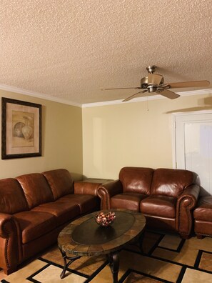Smart TV - “BrightHouse VII” Collins Beautiful Single Family 3/2 (Jacksonville)
