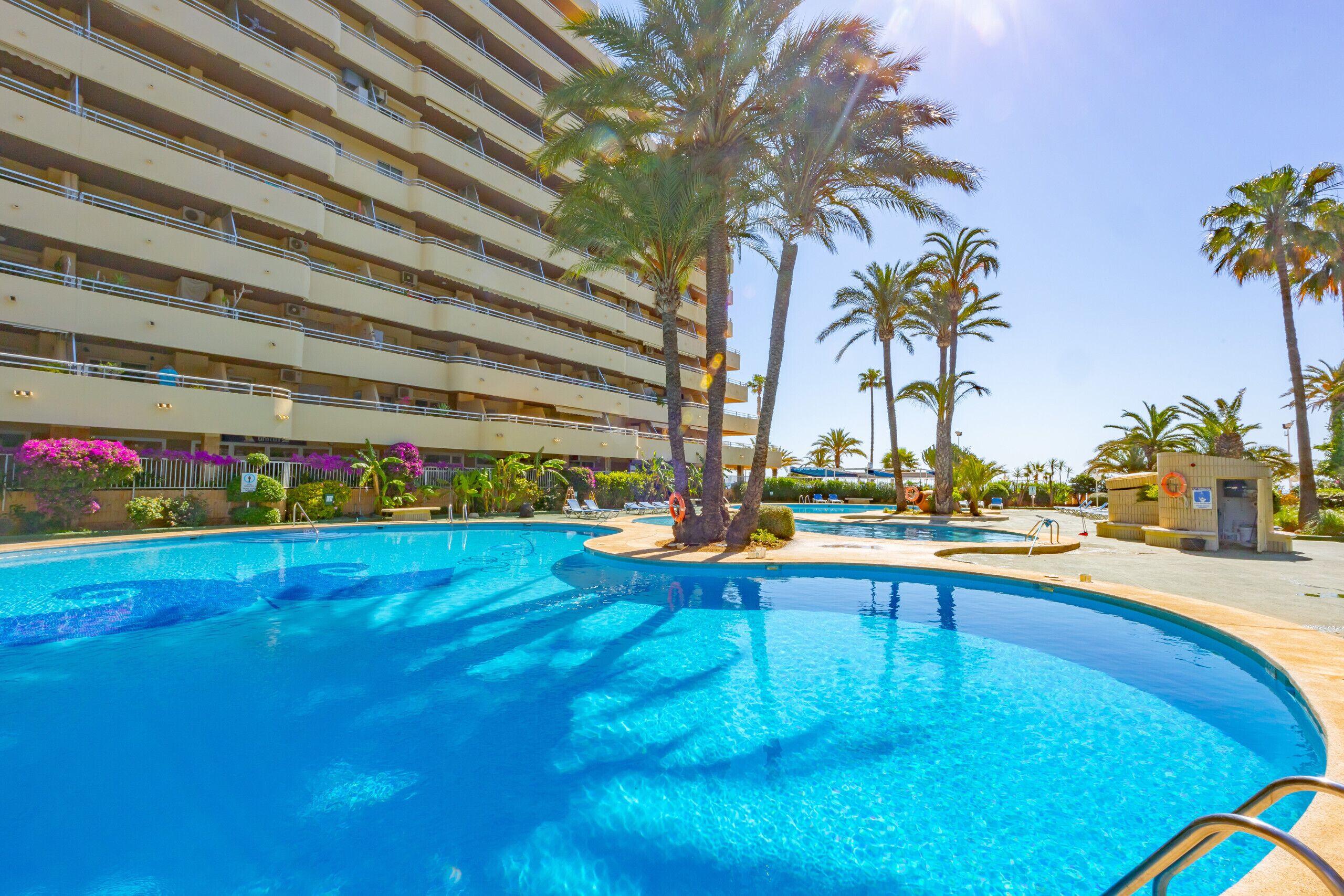A large outdoor swimming pool surrounded by palm trees and a multi-story hotel building.