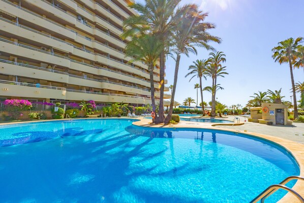 A large outdoor swimming pool surrounded by palm trees and a multi-story hotel building.