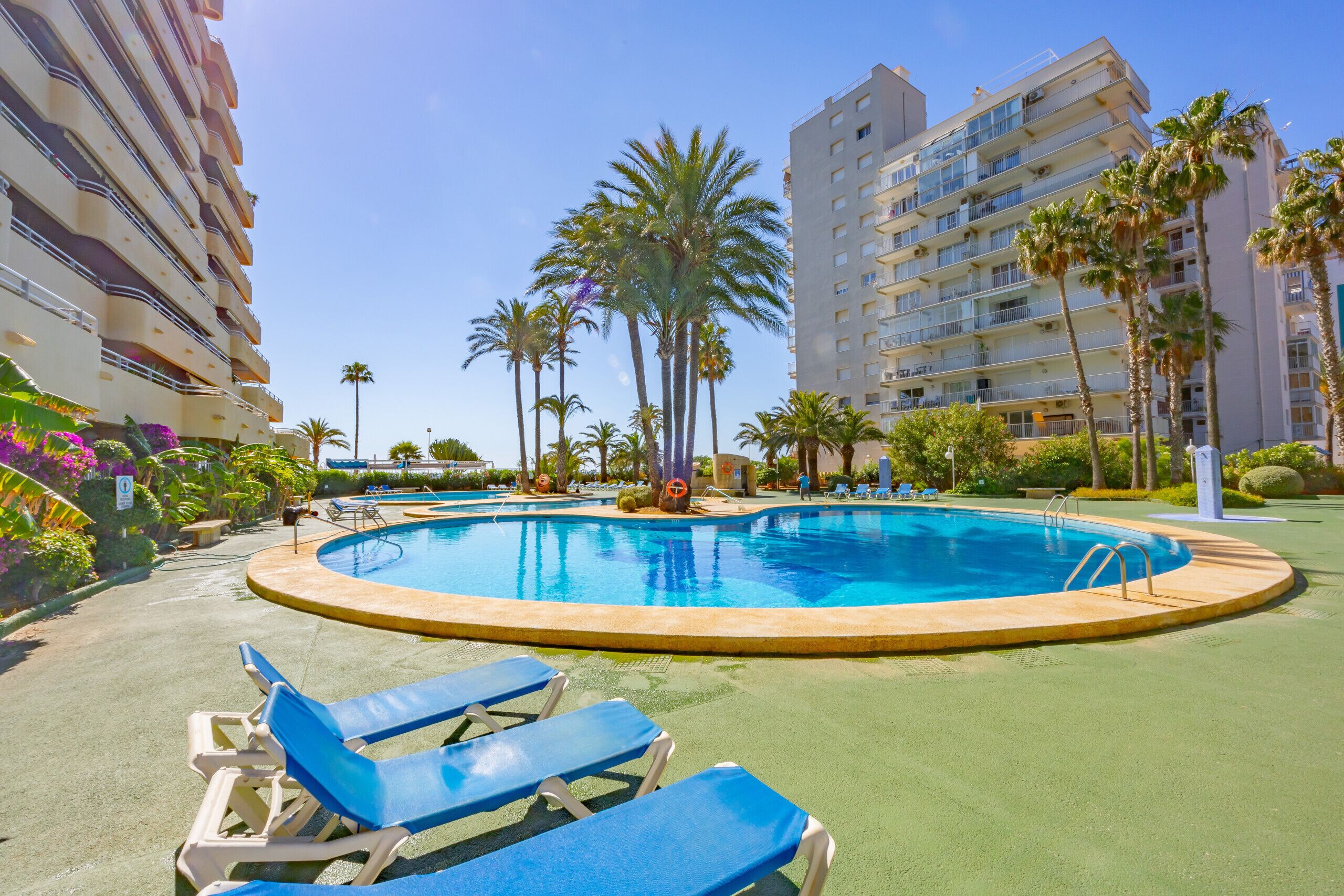 Una piscina rodeada de palmeras y sillas de descanso, con edificios altos al fondo.