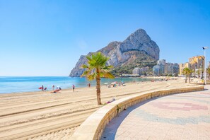 A beach with a curved walkway, palm trees, and a mountain in the background.