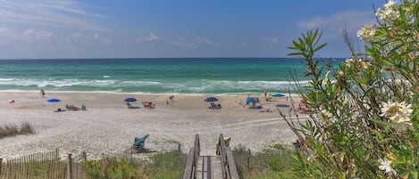 Una spiaggia nelle vicinanze