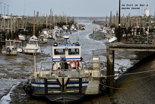 Bonita casa para 6 con jardín
