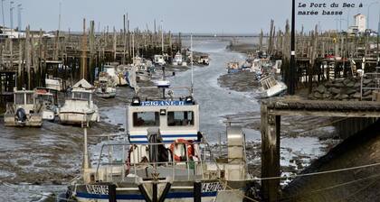 In the heart of the city, pretty house for 6 with garden