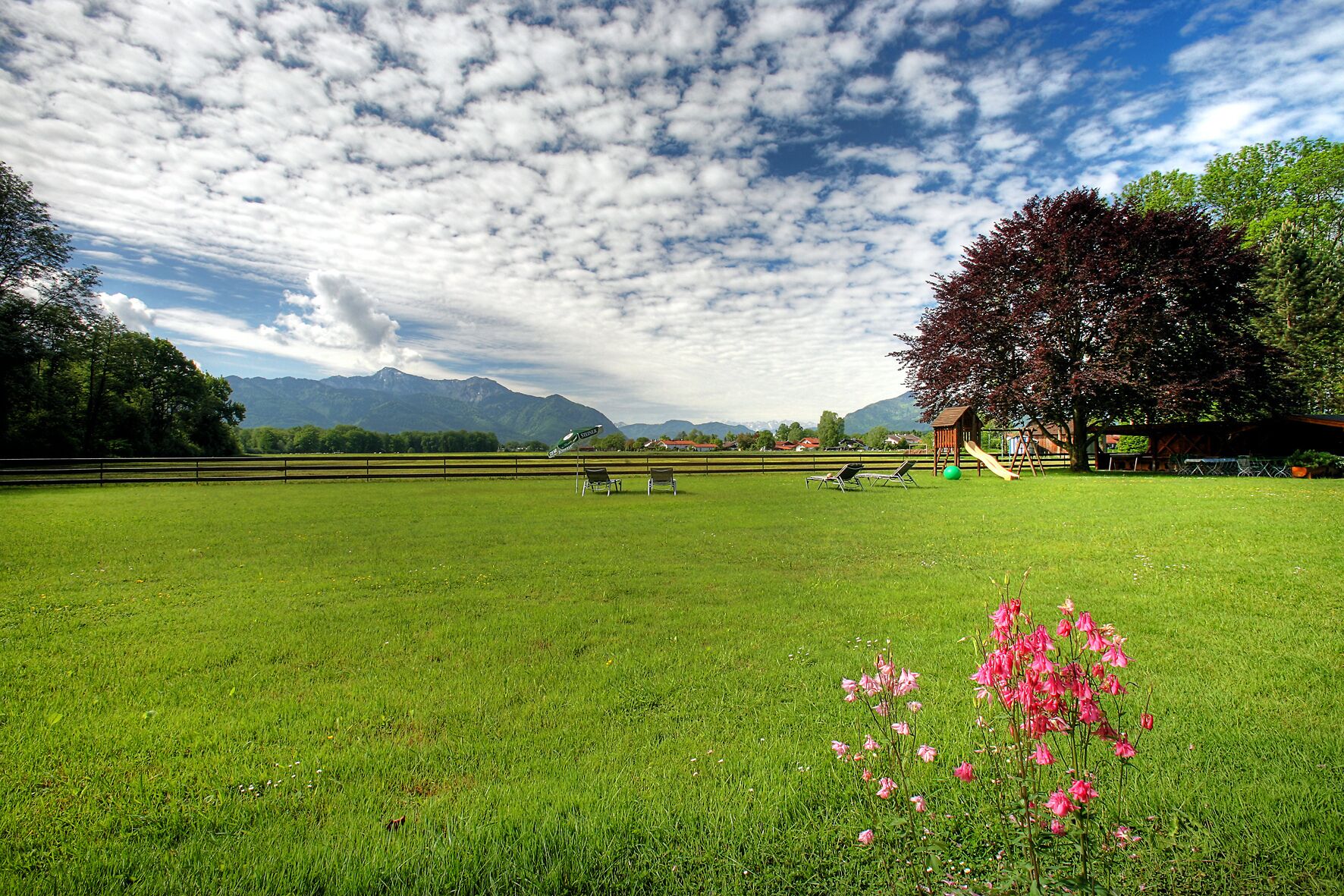 A grassy field with a playground, benches, and a tree.