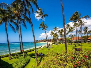 Um resort tropical com palmeiras, uma praia e um gramado bem cuidado.