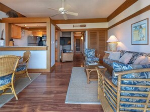 Fernseher, DVD-Player