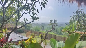 Restaurant - Menjangan Hill (Pejarakan)