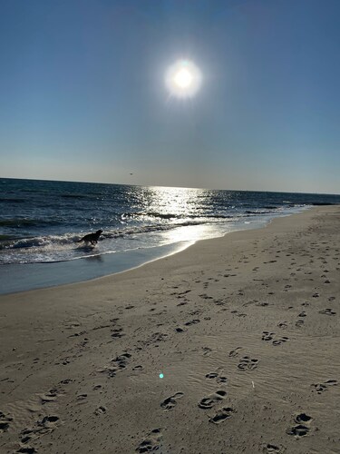 Spacious 3 bedroom, 3 full bath home on the 8th Green! Sleeps 8-10