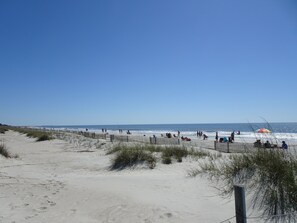 Plage à proximité, chaises longues, serviettes de plage
