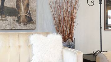 智能電視、壁爐