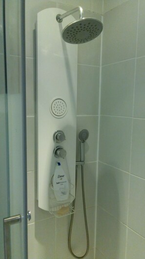 Shower, towels, toilet paper