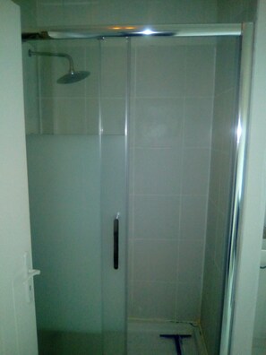Shower, towels, toilet paper