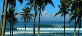 Deluxe Beachfront villa, Views, Tabanan