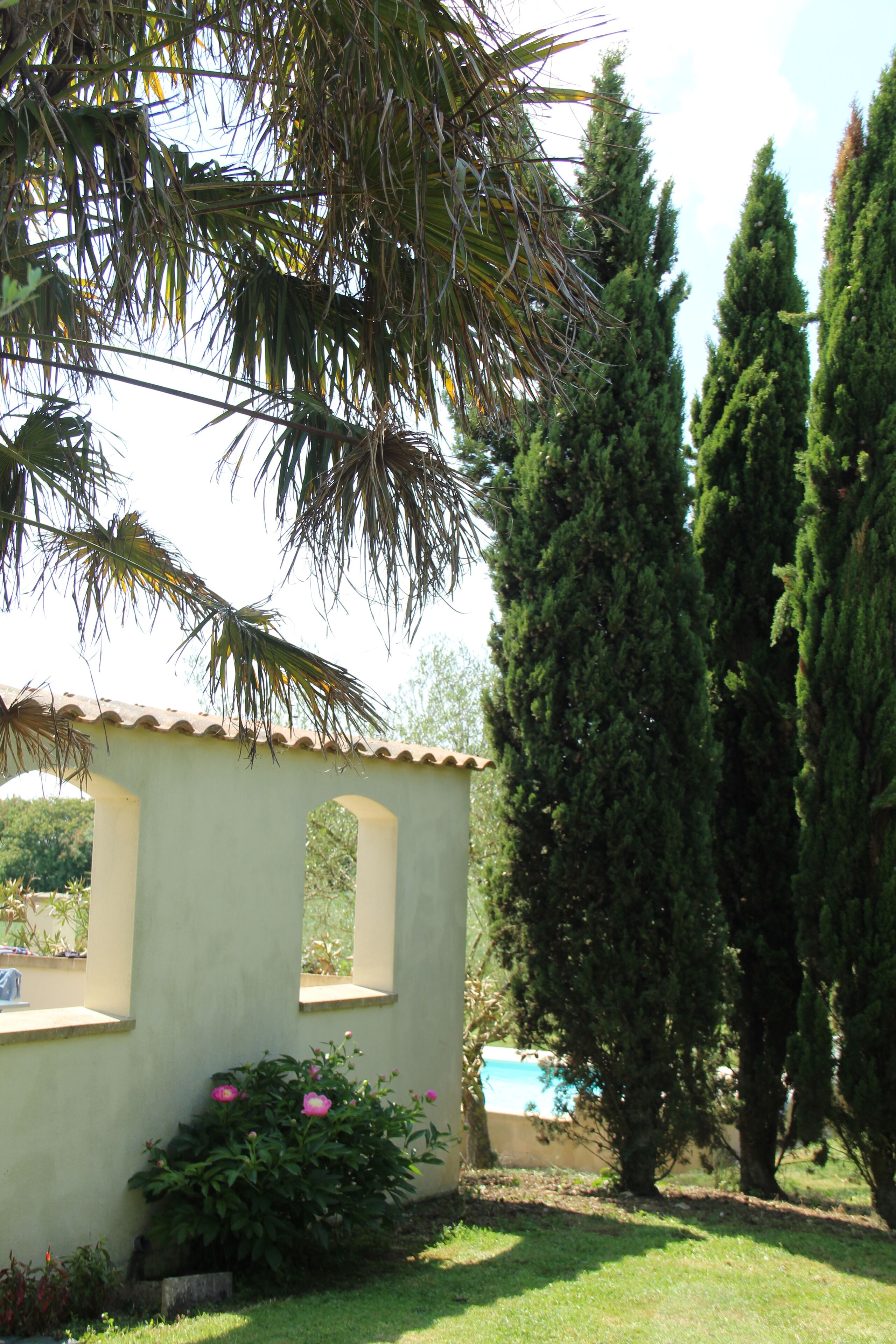 Parco della struttura