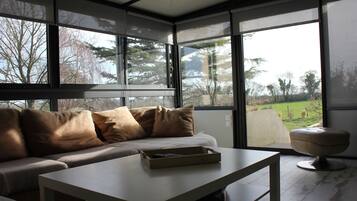 TV, fireplace, DVD player, ping pong