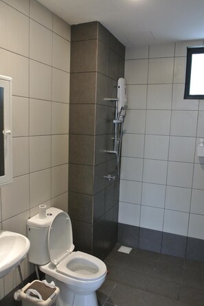 Shower, hair dryer, bidet, soap