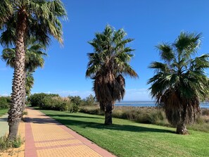 Property grounds - Isla Canela Beach and Golf (C.P. 21409, ISLA CANELA (Ayamonte))