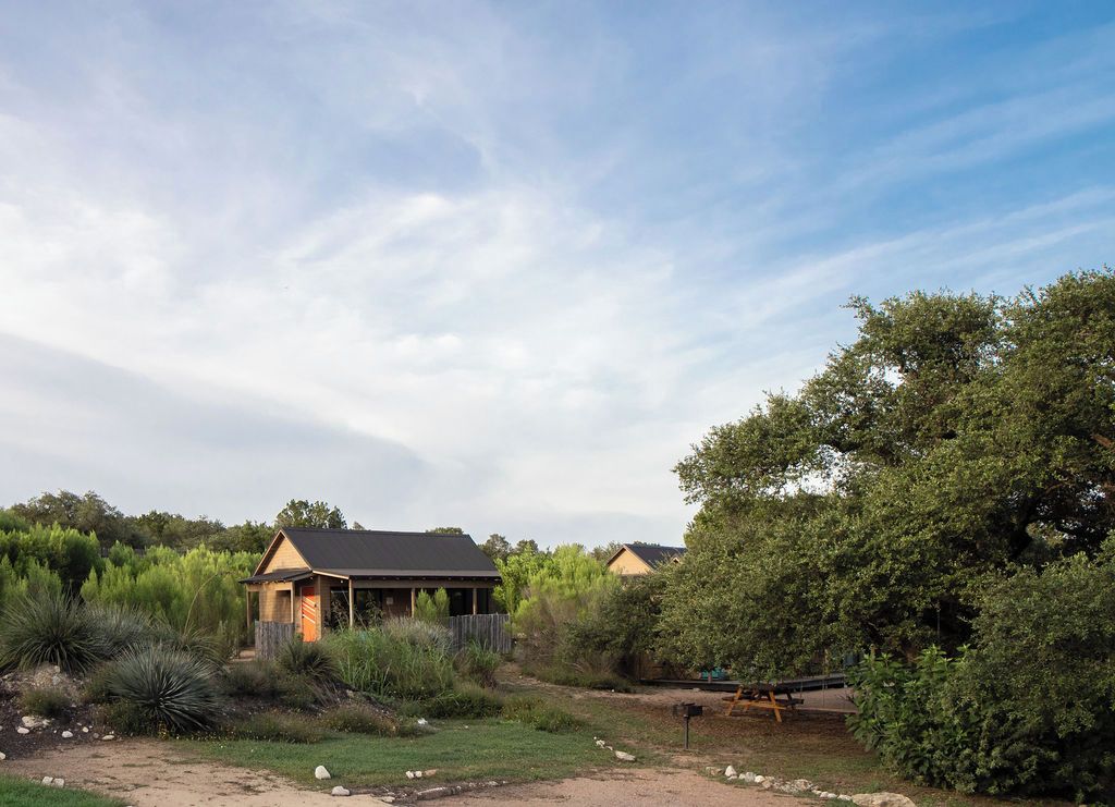 A rustic cabin with a sloped roof, surrounded by a landscaped garden with various shrubs and a large tree.