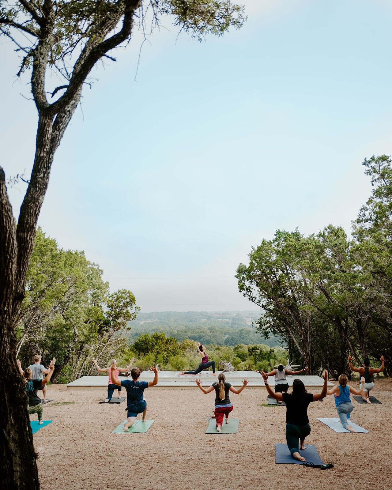 A group of people on yoga mats outdoors with trees and a view of the landscape.
