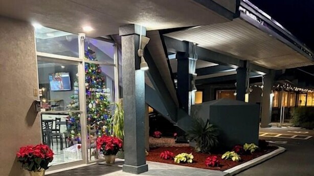 An outdoor area with a covered seating area, a Christmas tree, and potted plants. - Regency Inn (Perry)