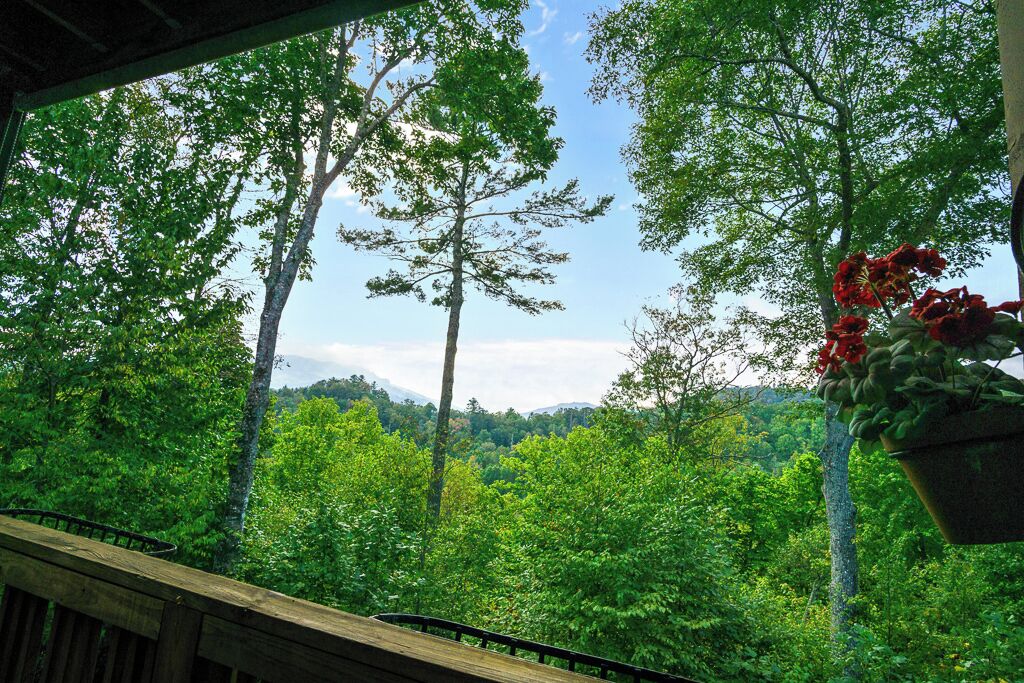A view from a wooden deck overlooking a forested area with tall trees and a hanging planter with red flowers.