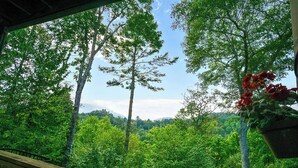 Blick von einer Holzdielen-Terrasse auf eine bewaldete Landschaft mit hohen Bäumen und einem hängenden Blumentopf mit roten Blüten.