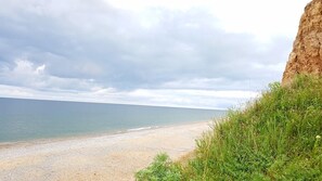 Property grounds - Guest House Shafran (Molodizhne)