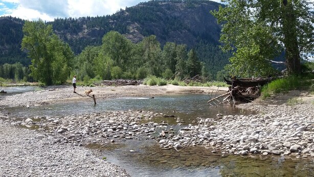 A riverbank with a rocky shore, trees, and a mountainous backdrop. - Cozy Cabin in Kettle Valley (Rock Creek)