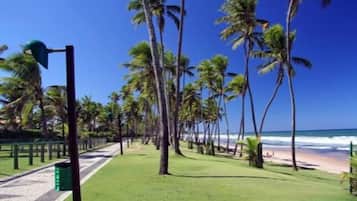 Perto da praia, espreguiçadeiras