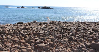Account Pousada Quinta da Ribeirinha